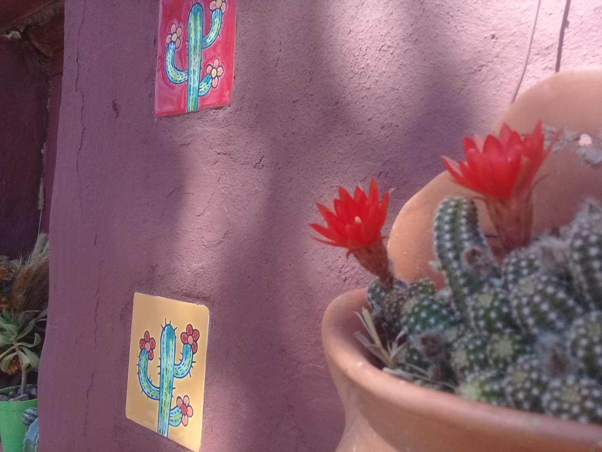 Cabana El Cardon,Casita En El Campo Quebradeno Humahuaca Luaran gambar