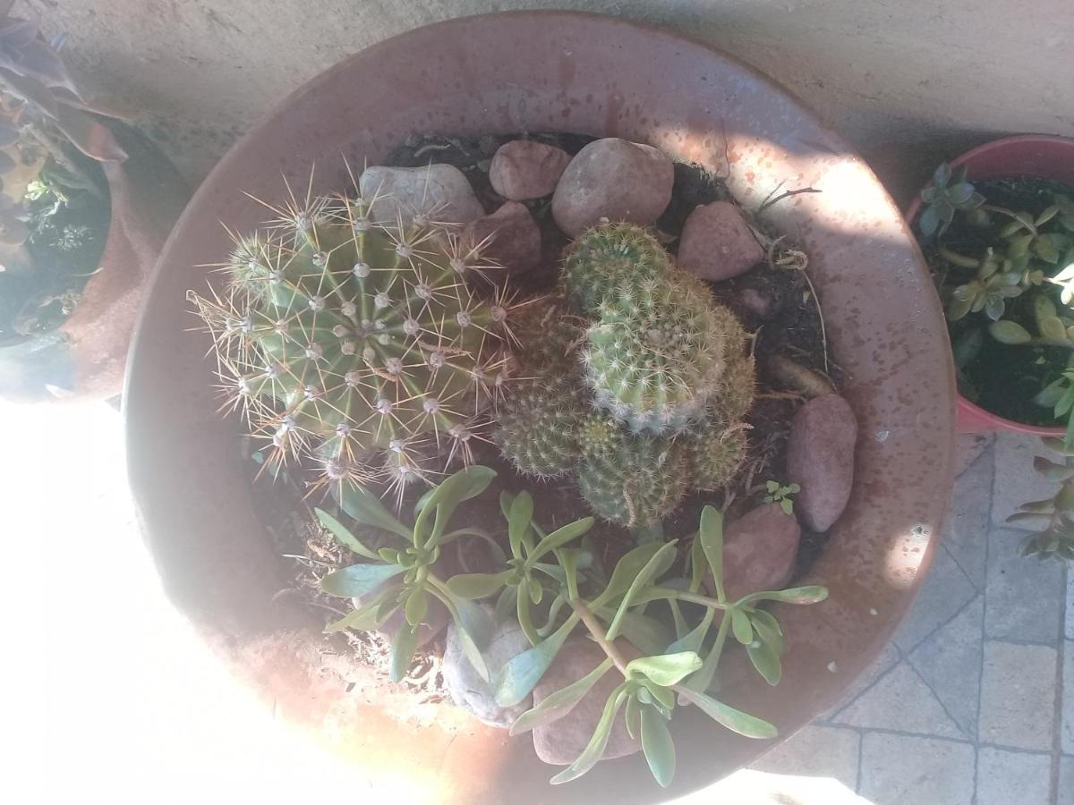 Cabana El Cardon,Casita En El Campo Quebradeno Humahuaca Luaran gambar