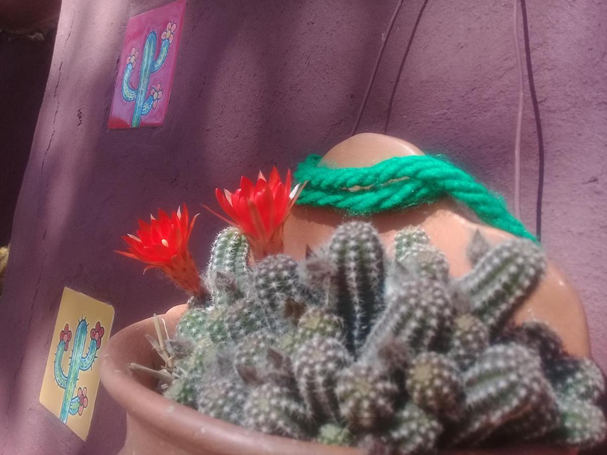 Cabana El Cardon,Casita En El Campo Quebradeno Humahuaca Luaran gambar