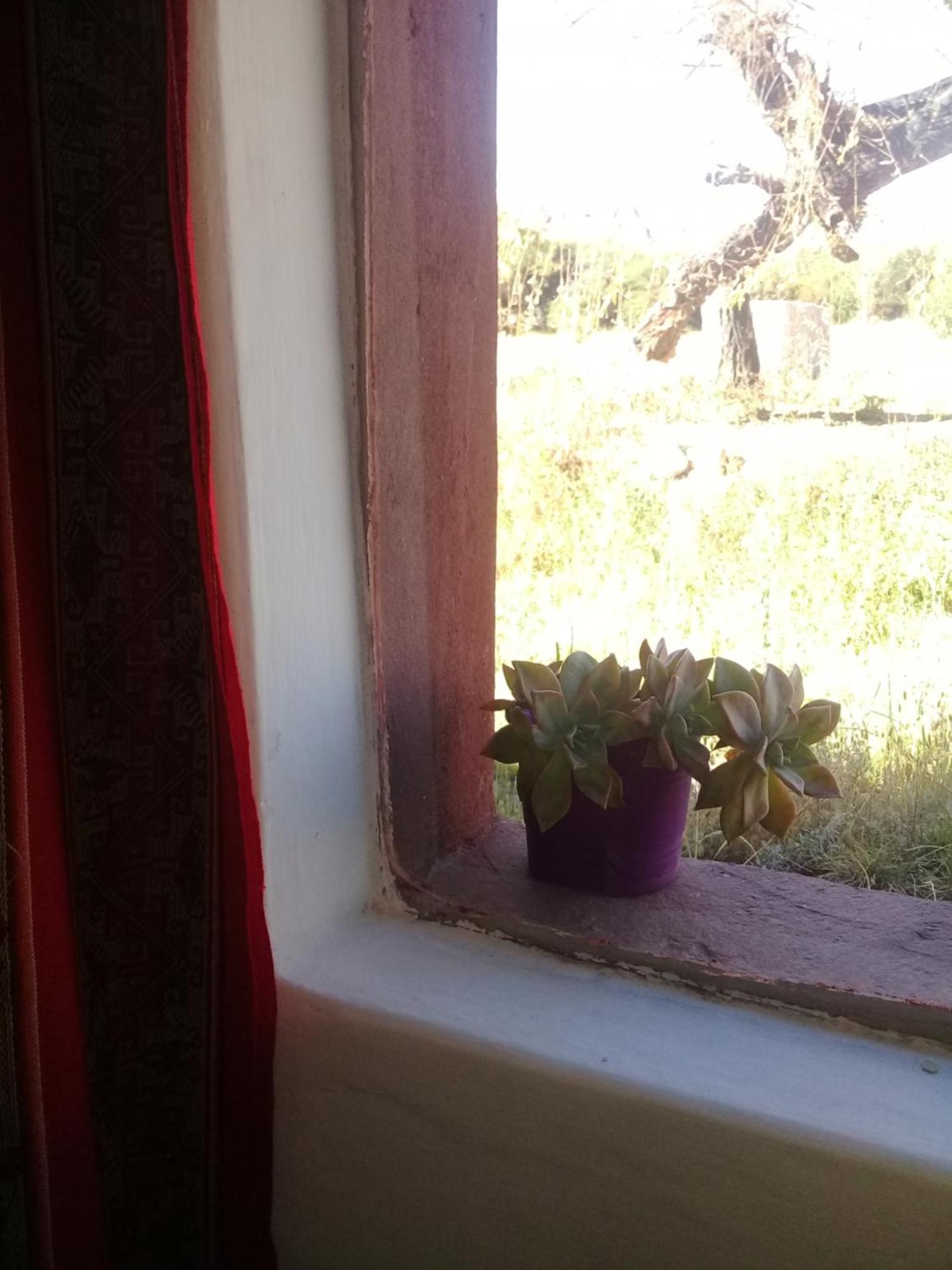 Cabana El Cardon,Casita En El Campo Quebradeno Humahuaca Luaran gambar
