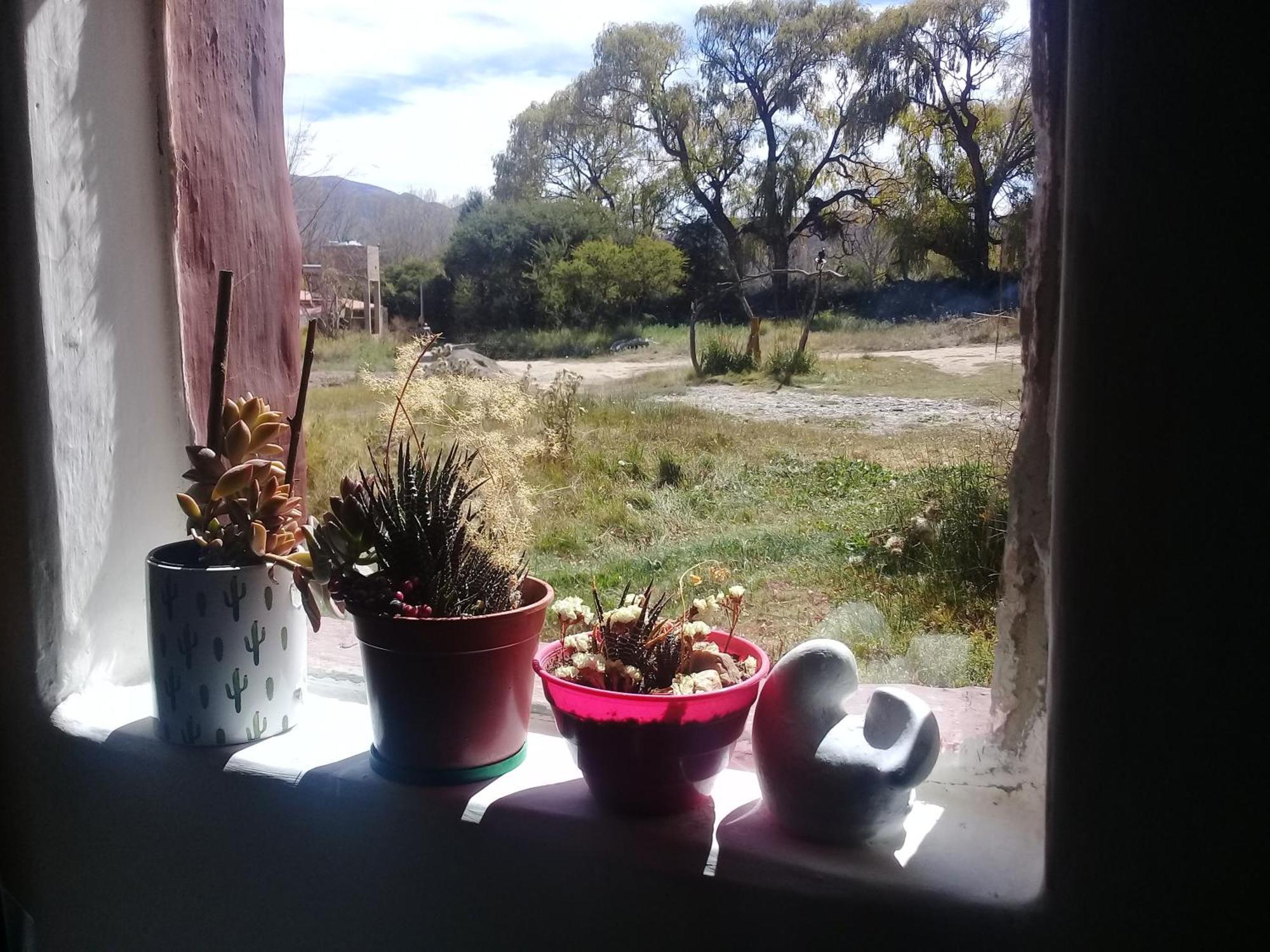 Cabana El Cardon,Casita En El Campo Quebradeno Humahuaca Luaran gambar