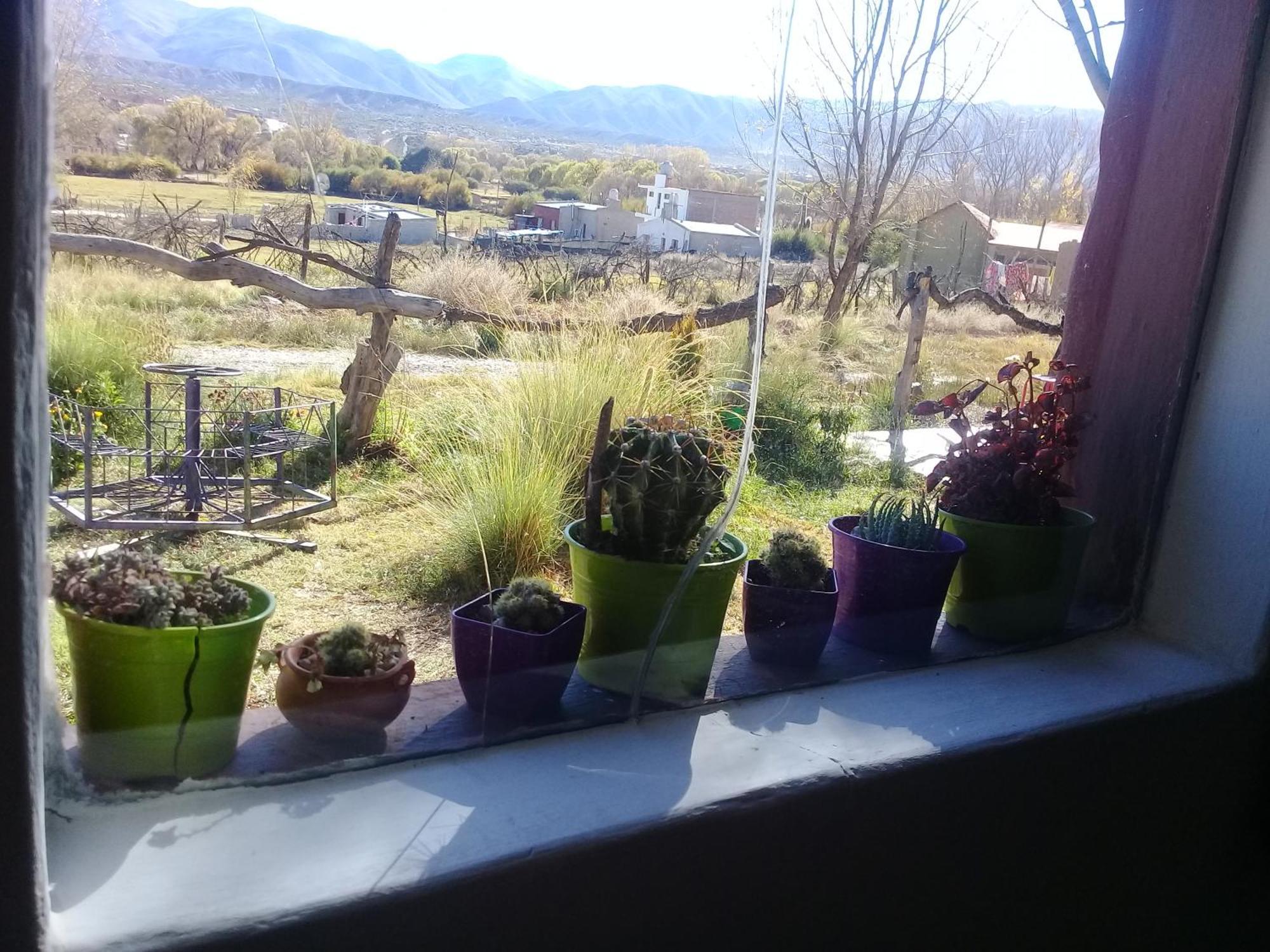Cabana El Cardon,Casita En El Campo Quebradeno Humahuaca Luaran gambar