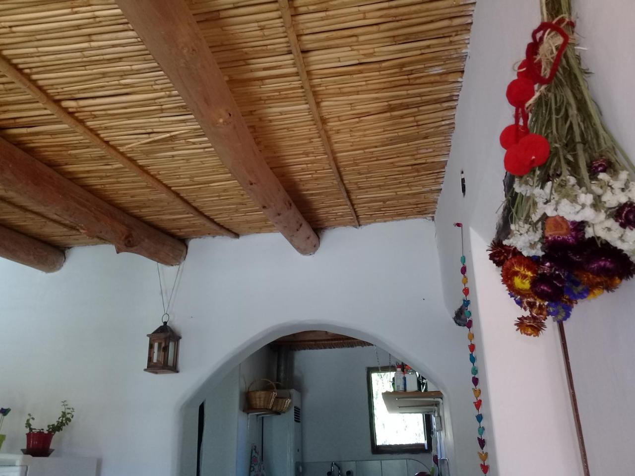 Cabana El Cardon,Casita En El Campo Quebradeno Humahuaca Luaran gambar
