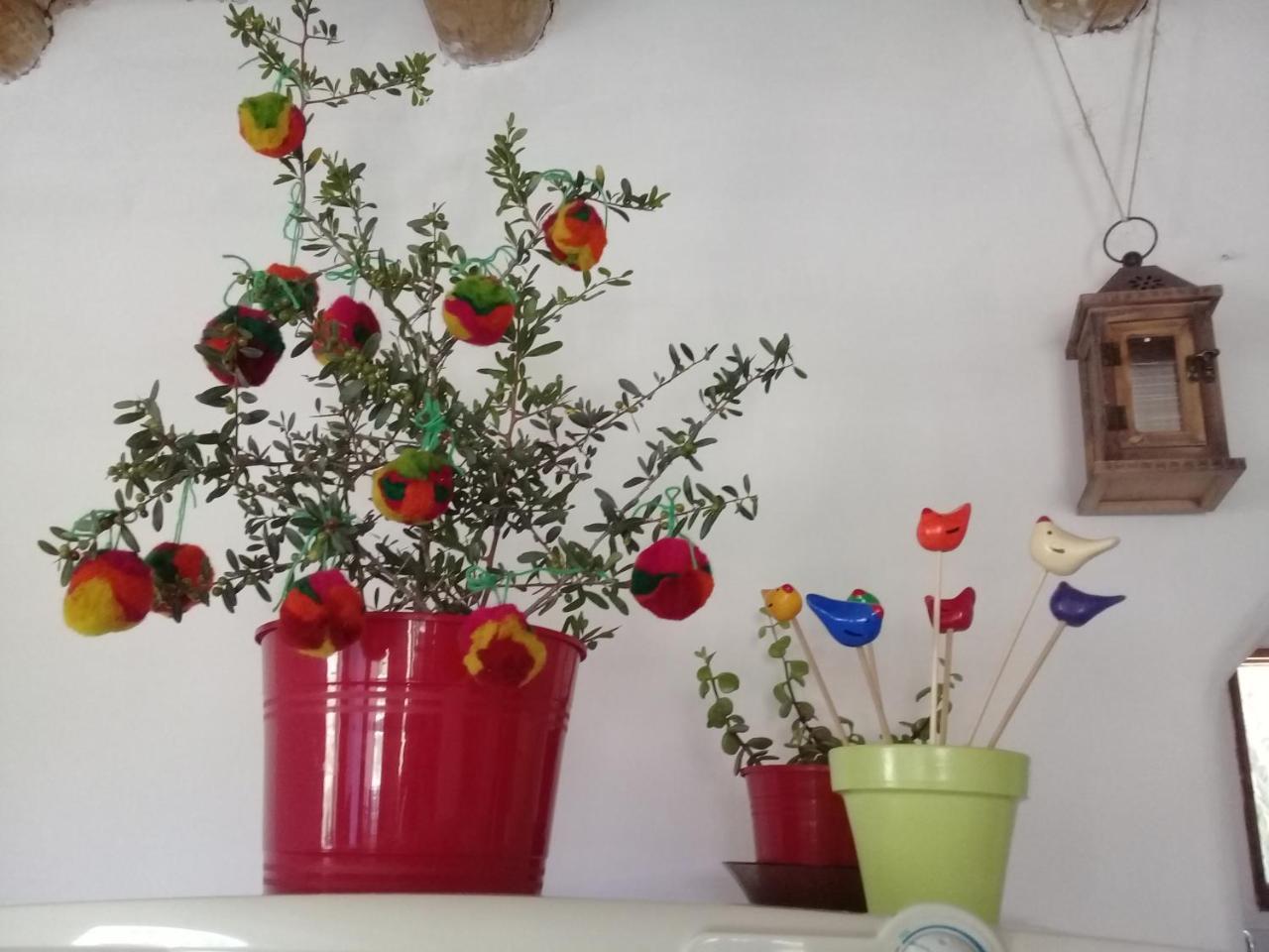 Cabana El Cardon,Casita En El Campo Quebradeno Humahuaca Luaran gambar