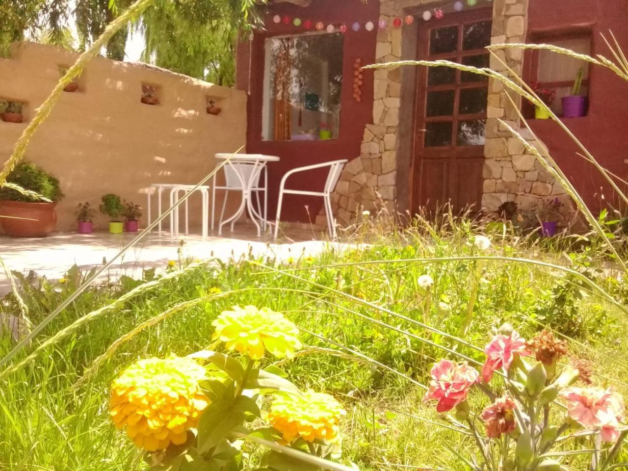 Cabana El Cardon,Casita En El Campo Quebradeno Humahuaca Luaran gambar