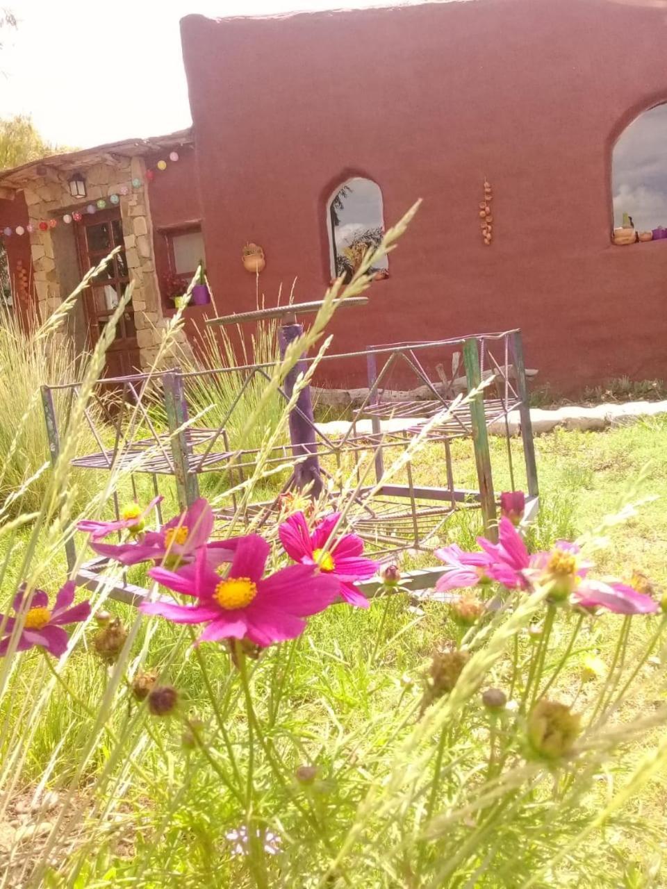 Cabana El Cardon,Casita En El Campo Quebradeno Humahuaca Luaran gambar