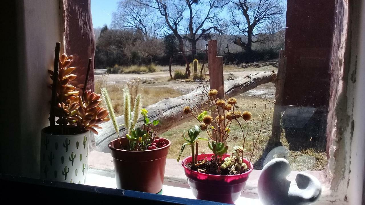 Cabana El Cardon,Casita En El Campo Quebradeno Humahuaca Luaran gambar